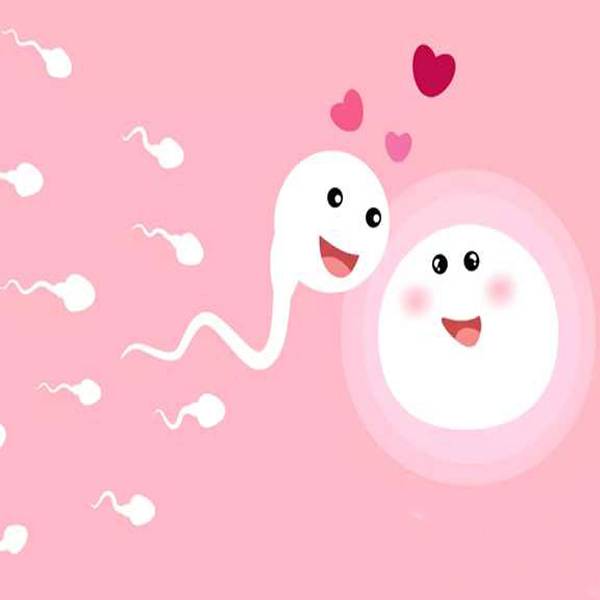 فرآيند توليد اسپرم مردان